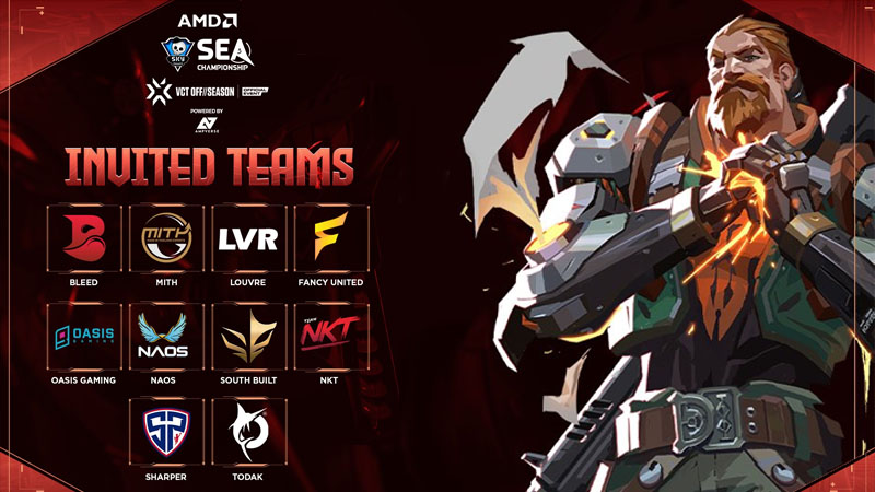 Skyesports Valorant SEA offseason