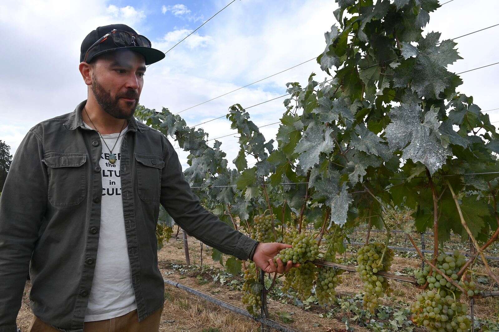 Troon vies for American Winery of the Year – Medford News, Weather, Sports, Breaking News