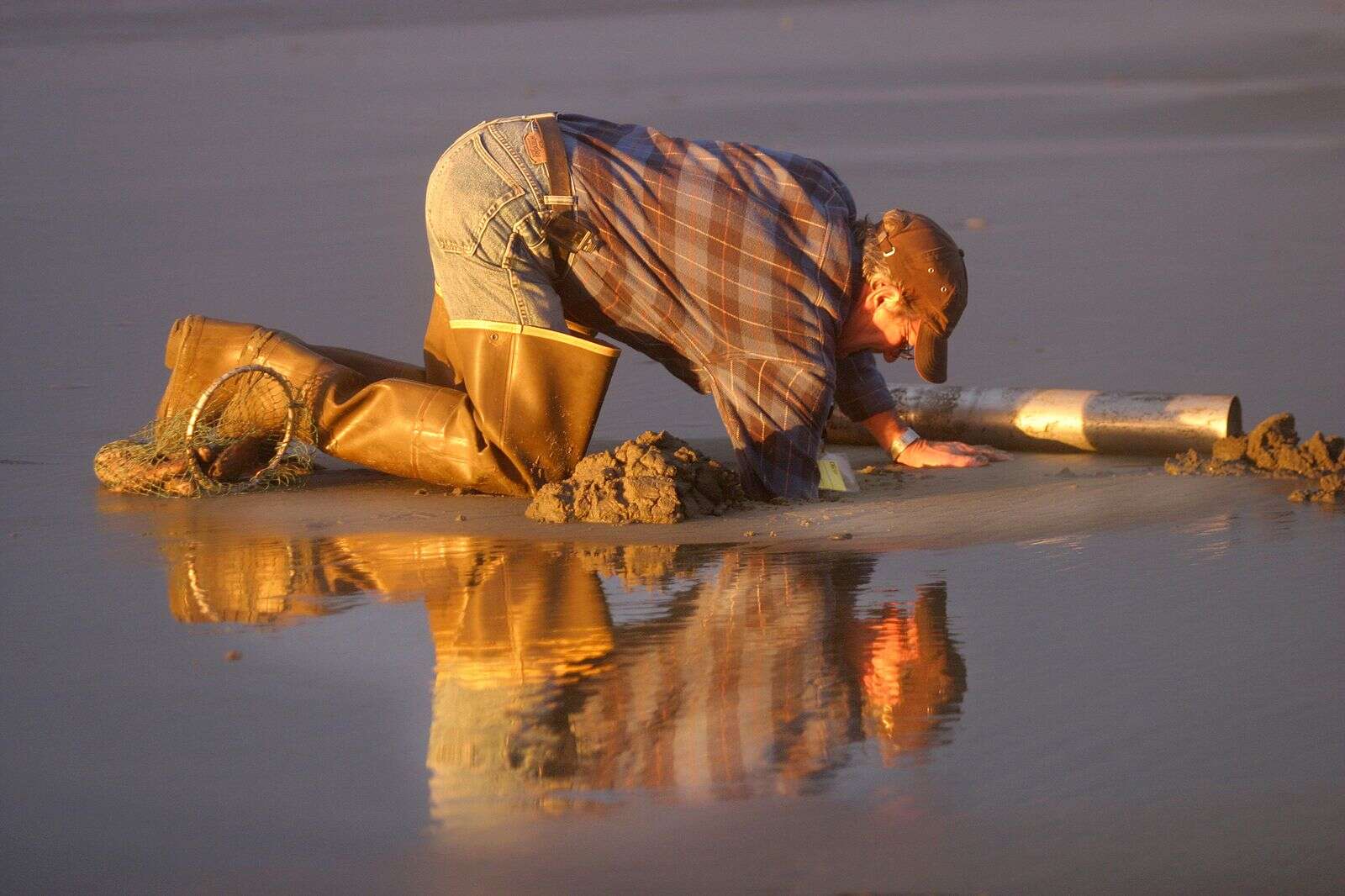 Razor clam digging closed along entire Oregon Coast – Medford News, Weather, Sports, Breaking News