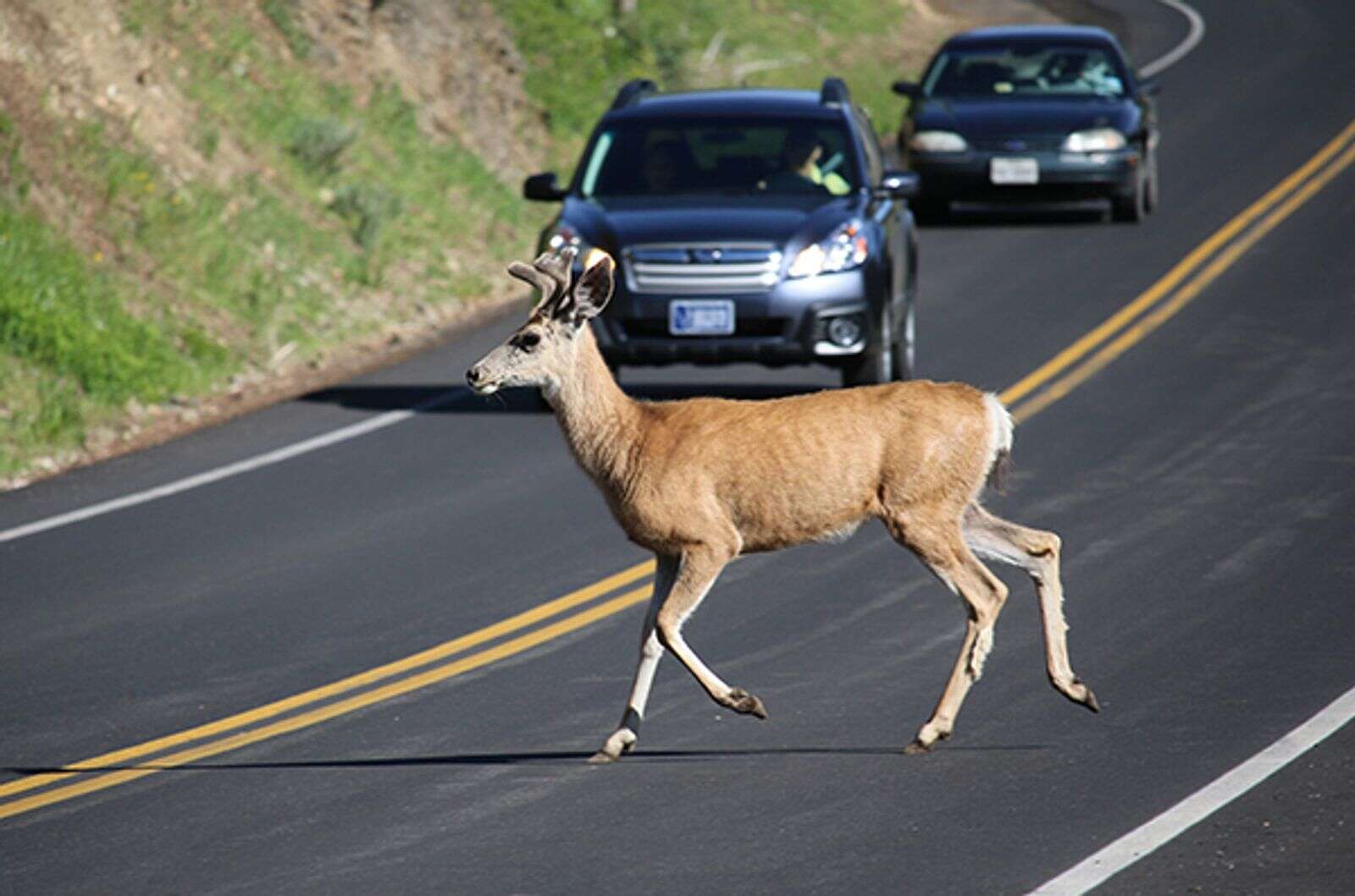 Where the rut meets the road – Medford News, Weather, Sports, Breaking News