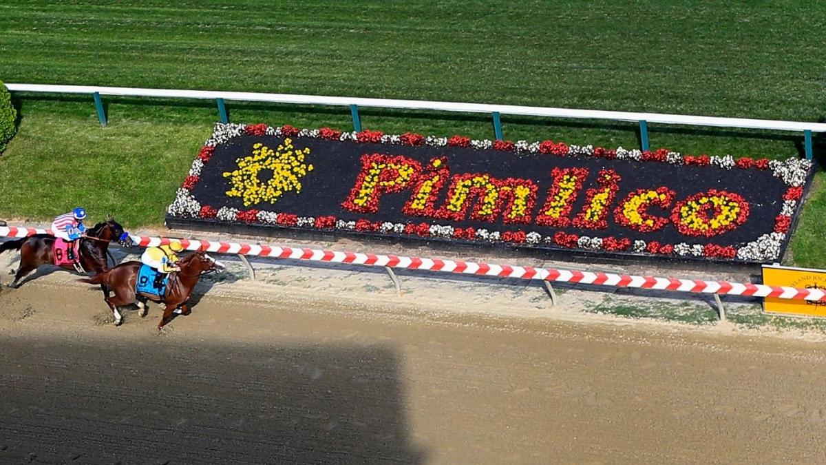 Preakness Stakes 2023: Havnameltdown euthanized on track, jockey in hospital after incident in undercard race