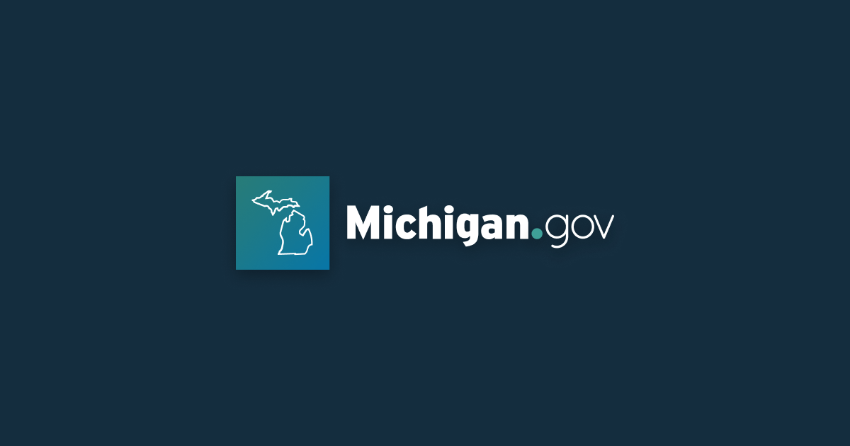 Michigan iGaming, sports betting operators report $205.3M in October revenue, bettors wagered record $533M